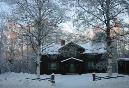 Decembersol på Hansegården
