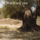 Olivtree, Crete, Greece