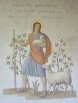 Shepherd